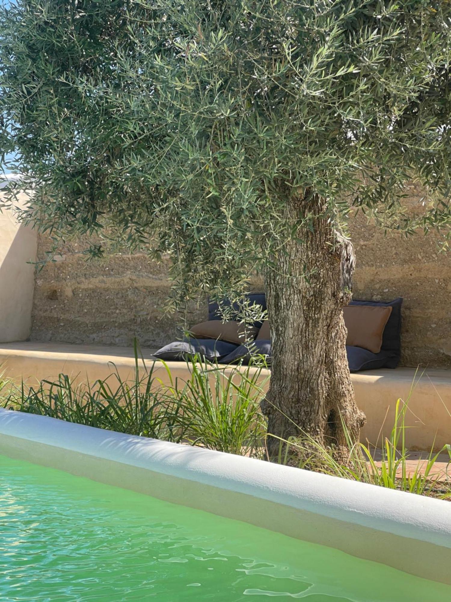 Uma Casa Em Entradas Guesthouse المظهر الخارجي الصورة